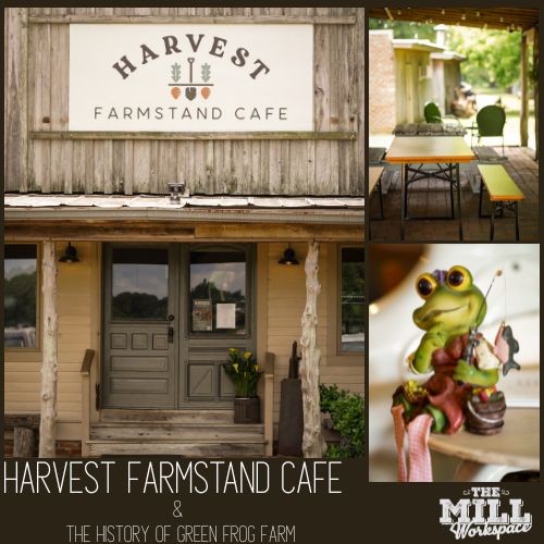 Harvest Farmstand Café and the History of Green Frog Farm